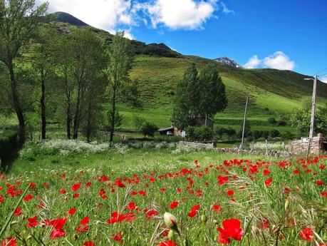 LOS BÍGAROS Y MUÑÓN DESDE TORRESTÍO LOS BÍGAROS Y MUÑÓN DESDE TORRESTÍO