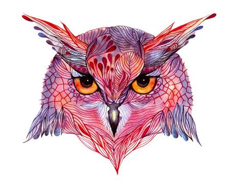 Enfréntate a los animales de Ola Ilustración búho de Ola Liola