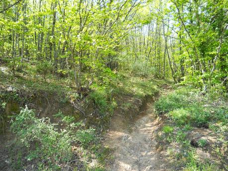 IV CARRERA GARGANTA DE LOS INFIERNOS. JERTE. ABRIL 2014. Crónica de me asomé al Olimpo de los Dioses del Ultrafondo y acabé sintiéndome como Dante en su Divina Comedia. IV CARRERA GARGANTA DE LOS INFIERNOS. JERTE. ABRIL 2014. Crónica de me asomé al Olimpo de los Dioses del Ultrafondo y acabé sintiéndome como Dante en su Divina Comedia.