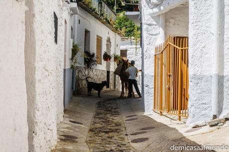 Intercambio de casa en el pequeño Tíbet de Granada