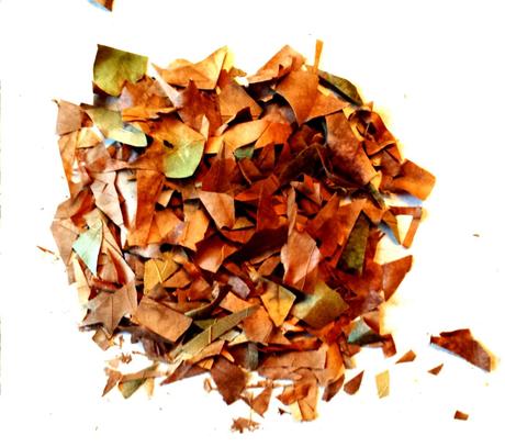 #Retoinfantil: el otoño #Retoinfantil: el otoño