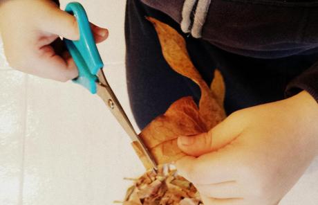 #Retoinfantil: el otoño #Retoinfantil: el otoño