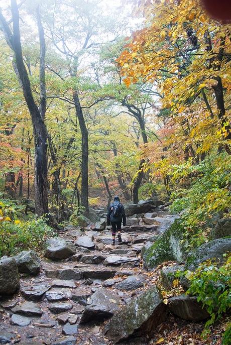 Otoño en Seoraksan II: Ulsanbawi Otoño en Seoraksan II: Ulsanbawi