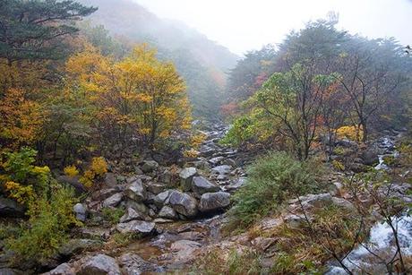 Otoño en Seoraksan II: Ulsanbawi Otoño en Seoraksan II: Ulsanbawi