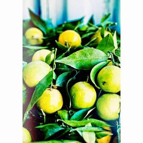 TIPS. 10 Beneficios de tomar agua tibia con limón