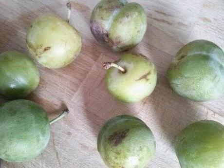 MERMELADA CASERA FÁCIL CON FRUTAS DE TEMPORADA MERMELADA CASERA FÁCIL CON FRUTAS DE TEMPORADA