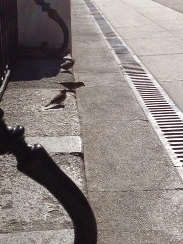 Parque el Retiro Parque el Retiro