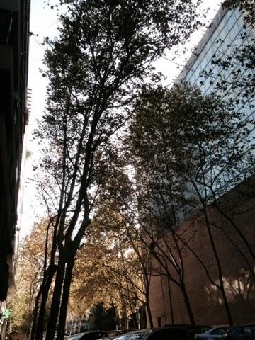 Parque el Retiro Parque el Retiro