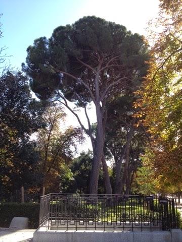 Parque el Retiro Parque el Retiro