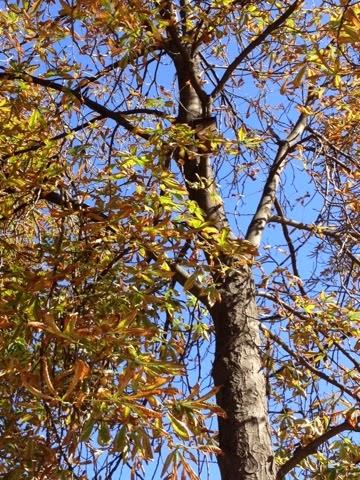 Parque el Retiro Parque el Retiro