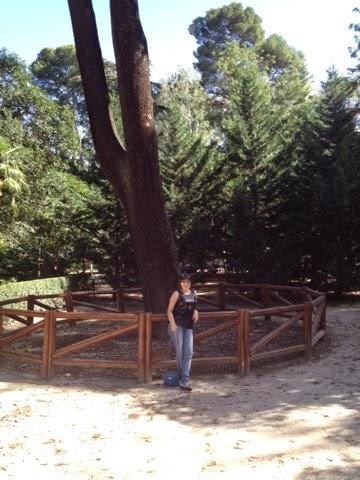 Parque el Retiro Parque el Retiro