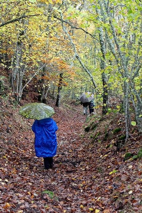 Ruta Vadiniense, el Camino Real del Esla. Encuentro de Asociaciones de Amigos del Camino de Santiago Ruta Vadiniense, el Camino Real del Esla. Encuentro de Asociaciones de Amigos del Camino de Santiago