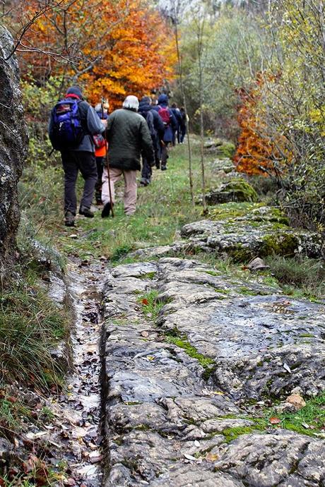 Ruta Vadiniense, el Camino Real del Esla. Encuentro de Asociaciones de Amigos del Camino de Santiago Ruta Vadiniense, el Camino Real del Esla. Encuentro de Asociaciones de Amigos del Camino de Santiago