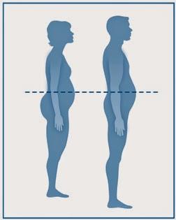 perimetro abdominal perimetro abdominal