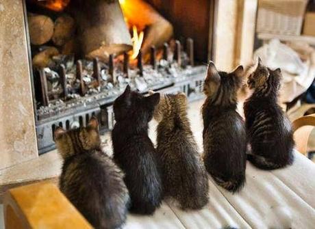 Para entrar en calor Para entrar en calor