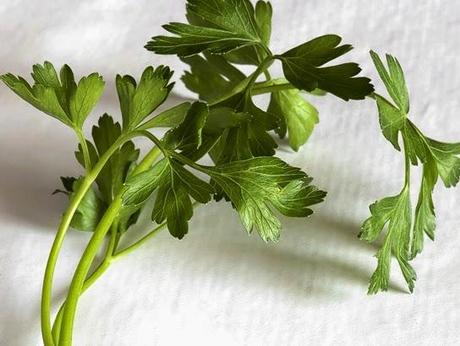 Del perejil, el cebollino y la menta Del perejil, el cebollino y la menta