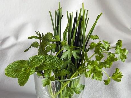 Del perejil, el cebollino y la menta Del perejil, el cebollino y la menta
