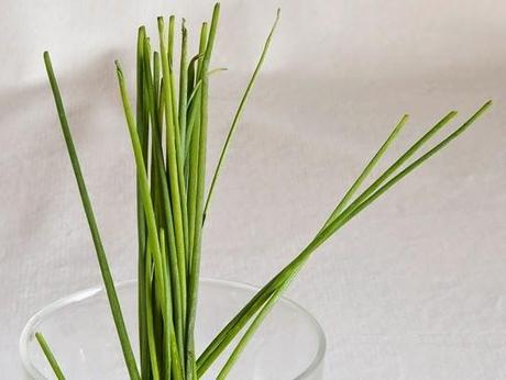 Del perejil, el cebollino y la menta Del perejil, el cebollino y la menta