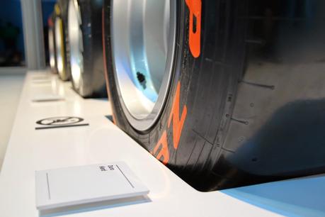 FERNANDO ALONSO COLLECTION FERNANDO ALONSO COLLECTION