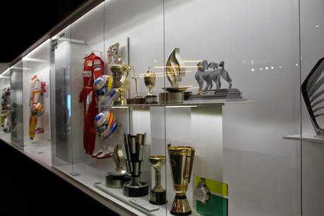 FERNANDO ALONSO COLLECTION FERNANDO ALONSO COLLECTION