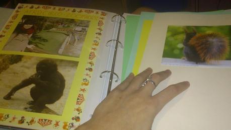 Scrapbooking Scrapbooking