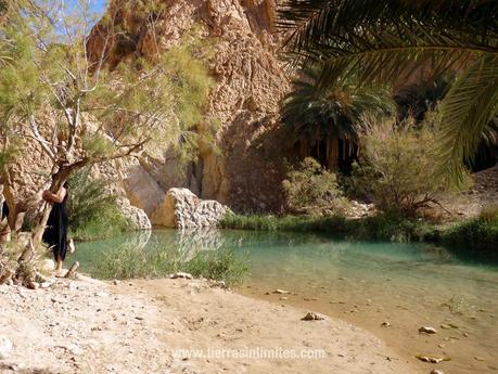 Qué es Túnez Oasis de Chebika