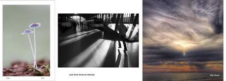 Photo of the Month (PoM) – Noviembre 2014 Finalists Photo of the Month November Photosatriani