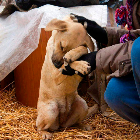 Puntos cardinales de Jatte: 1 Puntos cardinales de Jatte: 1