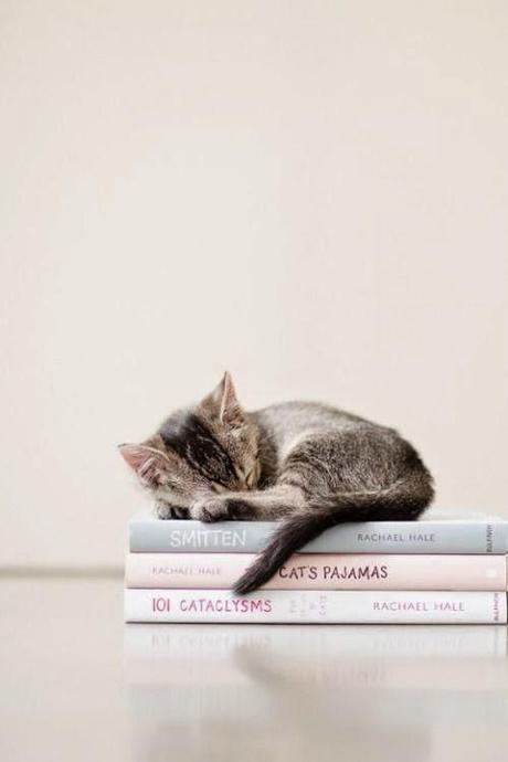 Puntos cardinales de Jatte: 1 Puntos cardinales de Jatte: 1