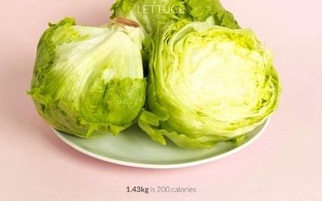 Calorific: La aplicación que te enseña como son 200 calorías Lechuga 200 calorias