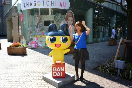 Excursión al Hie Jinja y Bandai Excursión al Hie Jinja y Bandai