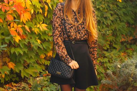 Fall Colours Fall Colours