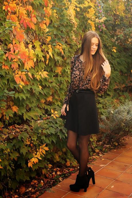 Fall Colours Fall Colours