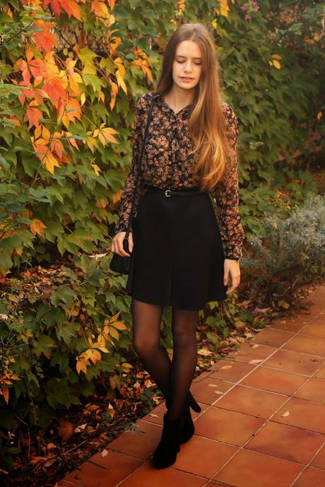 Fall Colours Fall Colours