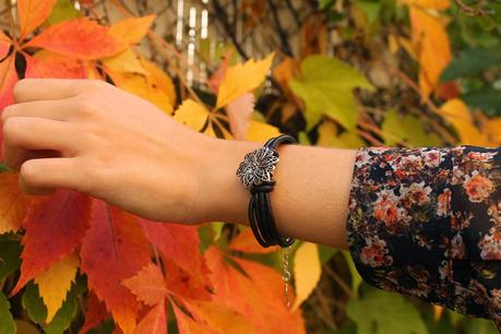 Fall Colours Fall Colours