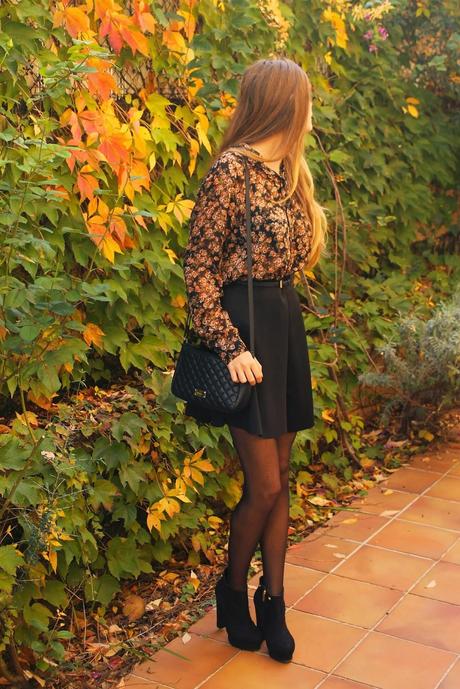 Fall Colours Fall Colours