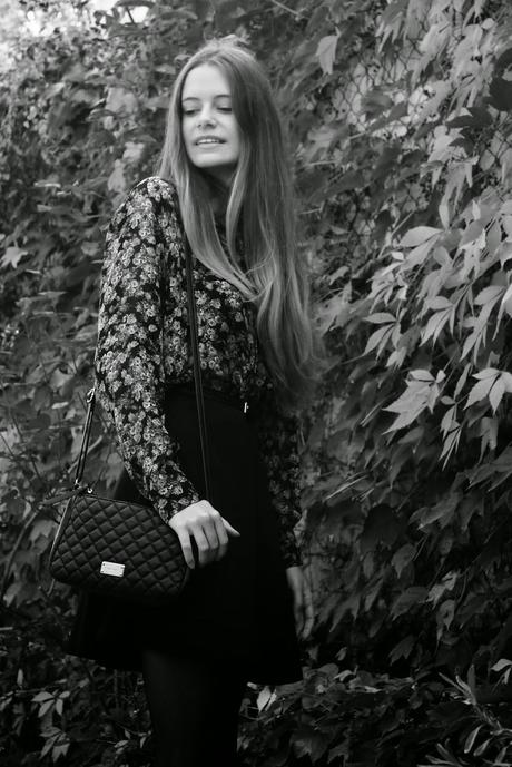 Fall Colours Fall Colours