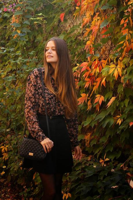 Fall Colours Fall Colours