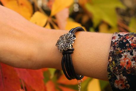 Fall Colours Fall Colours