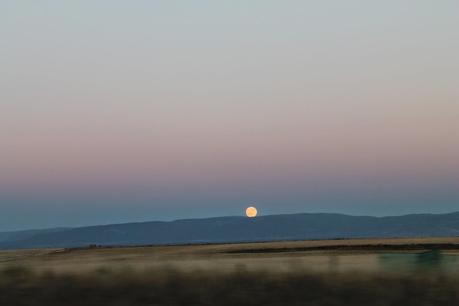 LEGUA DE CUÉLLAR 2014 LEGUA DE CUÉLLAR 2014