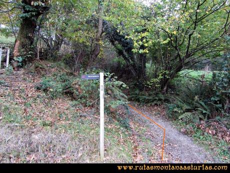 Ruta Olloniego Escobín: Desvío en la carretera