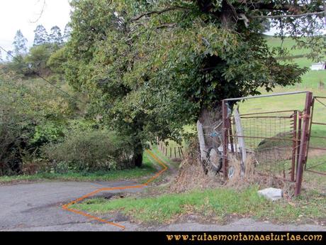 Ruta Olloniego Escobín: Desvío a la derecha bajando a Olloniego