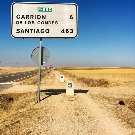 Camino de Santiago, etapa 14: Frómista - Carrión de los Condes.