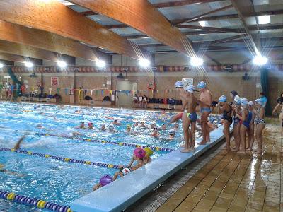 Competición de Natación Infantil.