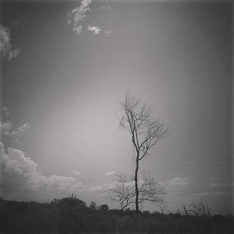 IMG_20141120_124542.jpg image