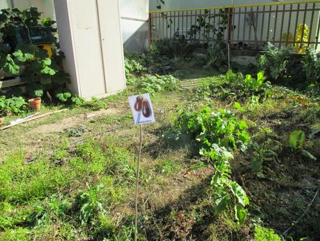 DUENDES EN EL HUERTO: UNA ACTIVIDAD DE INFANTIL