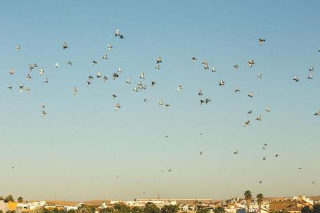 Francisco David + Vanesa | Prebodas en mezquita cordoba fotografia-preboda-mezquita23