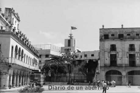 Los filetes de ternera a la cubana de Leonardo Padura Los filetes de ternera a la cubana de Leonardo Padura