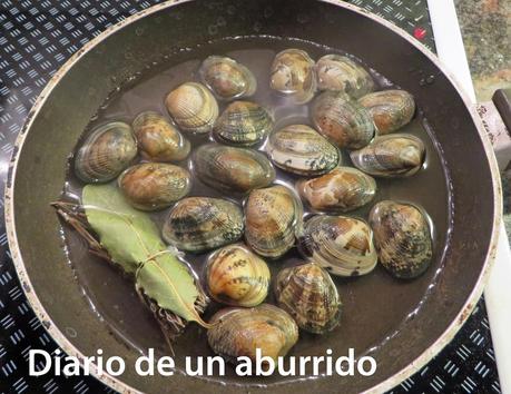 La costa belga: Koksijde, Nieuwpoort, La Panne y un rodaballo al horno