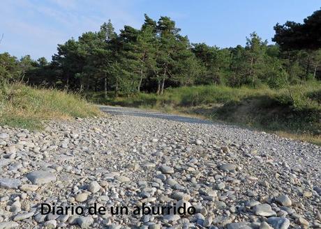 Viaje a las Cinco Villas y el prepirineo aragonés Viaje a las Cinco Villas y el prepirineo aragonés